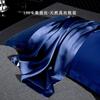 19 Momme Pure Mulberry Silk Pillowcase Set 2pcs Luxury Bedding Sensitive Skin Hypoallergenic Sleep Comfort