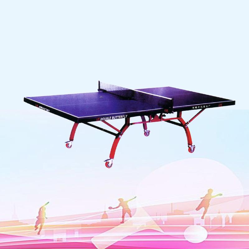 Indoor Foldable Movable Table Tennis Table for Training and Competition by Xingda