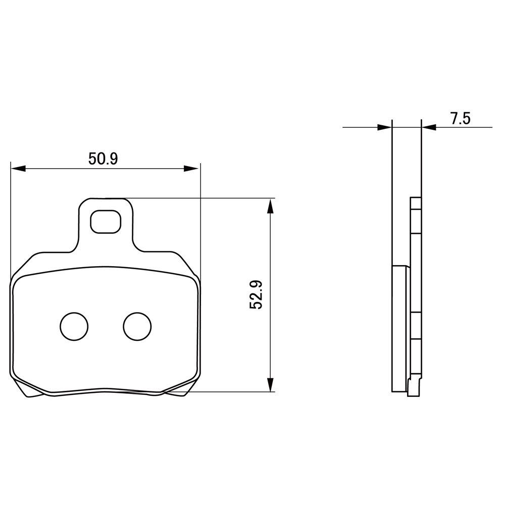 Daytona Motorcycle Brake Pads, Golden Pad X (Sintered Metal Pad), Ninja H2, Carbon (19-21),