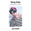 Stray Kids MAXIDENT ALADIN Официальная фотокарточка