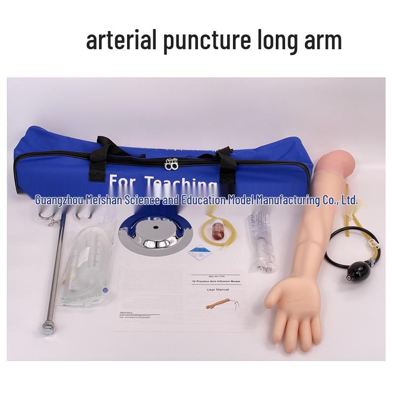 Multifunctional Venipuncture and Injection Training Arm