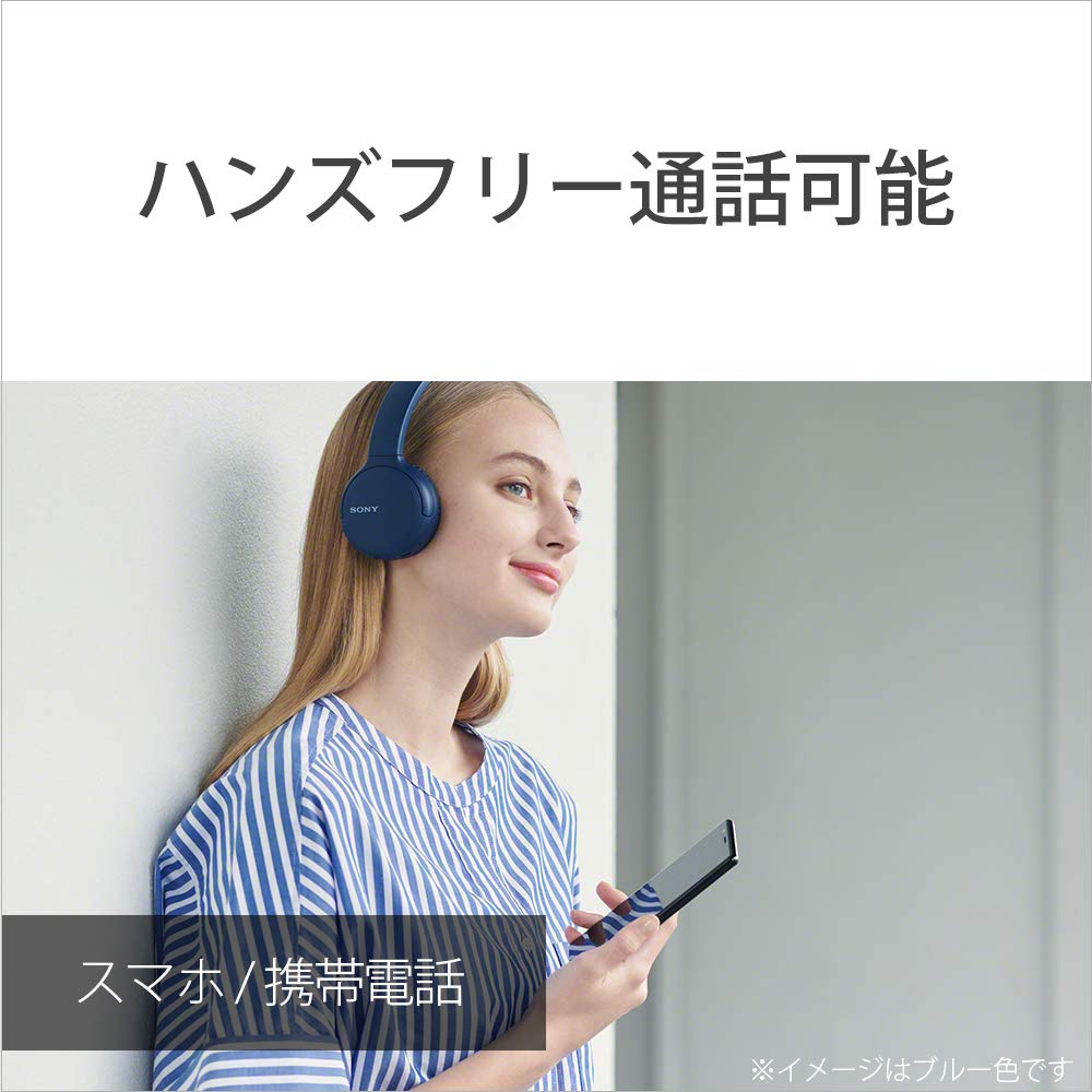 Sony Беспроводные наушники Bluetooth совместимы с AAC до 35 часов непрерывного воспроизведения модель 2019 года с микрофоном синий L WH-CH510 / / / / / WH-CH510