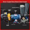 Three-Leaf Direct-Coupled Variable Frequency Blower for Aquaculture 380V