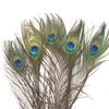 Natural Peacock Flower Bottle Plug -In Bottle Swing Decoration Decoration Of Big Eye Peacock True Feather Trifid