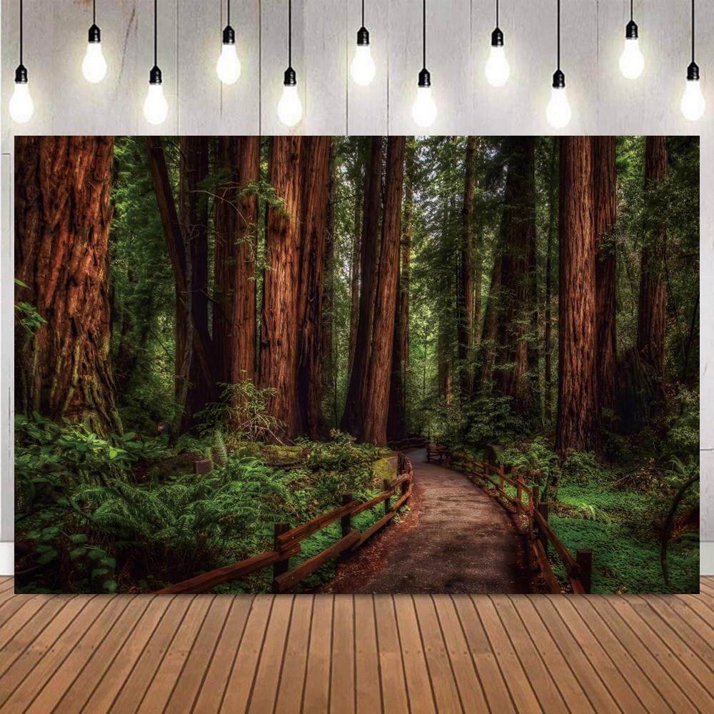Forest Path Sunshine Photo Backdrop Natural Landscape Camping Adventure Portrait shooting Home Decor Photography Background Prop4