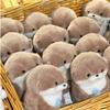 10/1pcs Cute Otters Holding Fish Plush Doll Keyrings Lightweight Hanging Pendant Props For School Bag Key Wallet Doll Toy Gifts