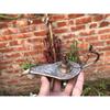 Винтажная масляная лампа Aladdin Brass Genie, морская горелка для благовоний Chirag, 6 дюймов, предмет