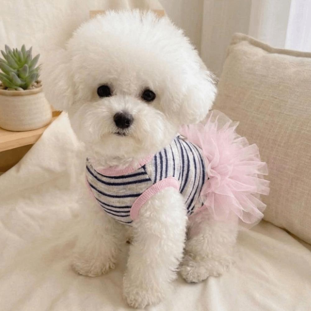 Thin Breathable Dog Cooling Vest Lace Skirt Pet T-shirt Fashion Puppy Princess Dress Small Dogs