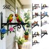 Sky Garden Wall Combination Metal Plant Hanger Hook Heavy Duty Hanging Basket Bracket Decorative Parrot Imitation Rust Orange Cat Flower Butterfly for