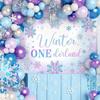 2D Printing Winter ONEderland Backdrop, Glitter Pastel Snowflake 1st Birthday Decor
