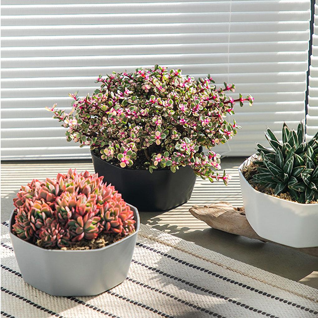 Nordic Flower Pot Planter Succulent Plants Opening Bottom Tray Indoor Garden Flowerpot Wear-resistant Durable White