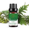 10 мл эфирное масло успокаивающее не раздражающее увлажняющее растительное средство для ухода за телом изысканное кедровое эфирное масло для кожи для расслабления