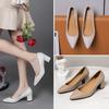 Fashion Pointed Toe High Heels Pumps Women New Korean Style Pointed Shallow Mouth Thick Heel Fashion Shoes Sapatos De Mujer