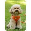 Tiny Tog Dog Harness Velvet Corduroy Leash Set, Orange, 1 Piece