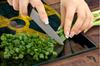 GLASS CUTTING BOARD 45x52 Pattern