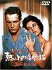 DVD DVD - Hot Tin Roof Cat Japan ObiMovies & DVD Used