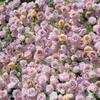 Uflower Розовый Цветочный Настенный Сворачивающийся Подвесной Тканевый Фон Искусственная Цветочная Штора для Свадебного Мероприятия Украшения Вечеринки