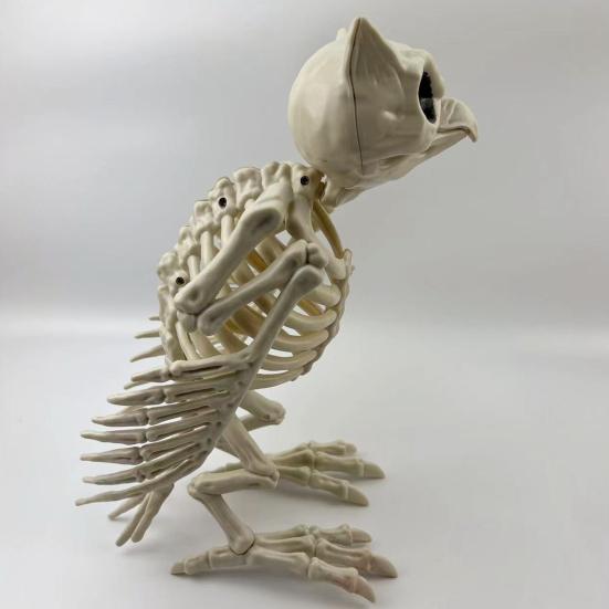 Украшение в виде скелета совы на Хэллоуин, реалистичная 12-дюймовая фигурка скелета животного, пластиковая модель кости совы для декора вечеринки в доме с привидениями