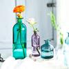 Glass Bottle Hydroponic Plant Weddings Parties Glass Vase Table Decor Home Decoration Flower Vase