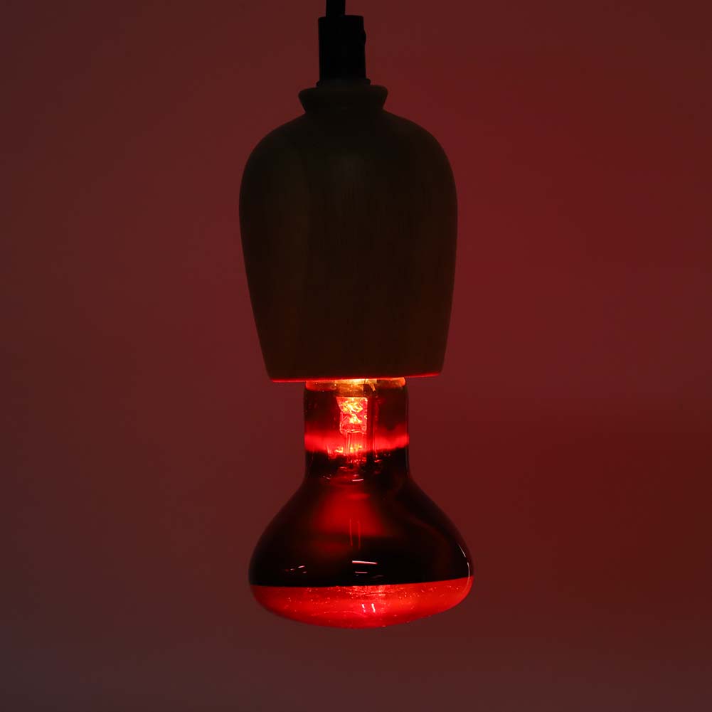 E27 R63 Инфракрасная лампа для рептилий Животное Питомец Обогревательная лампа Лампа Лампочка для Черепахи Змеи 60 Вт