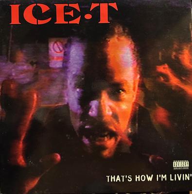 12-дюймовая пластинка ICET Thats How Im Livin PVL53834 Rhyme yndicate 1993 US Rap HipHopRB Б/у
