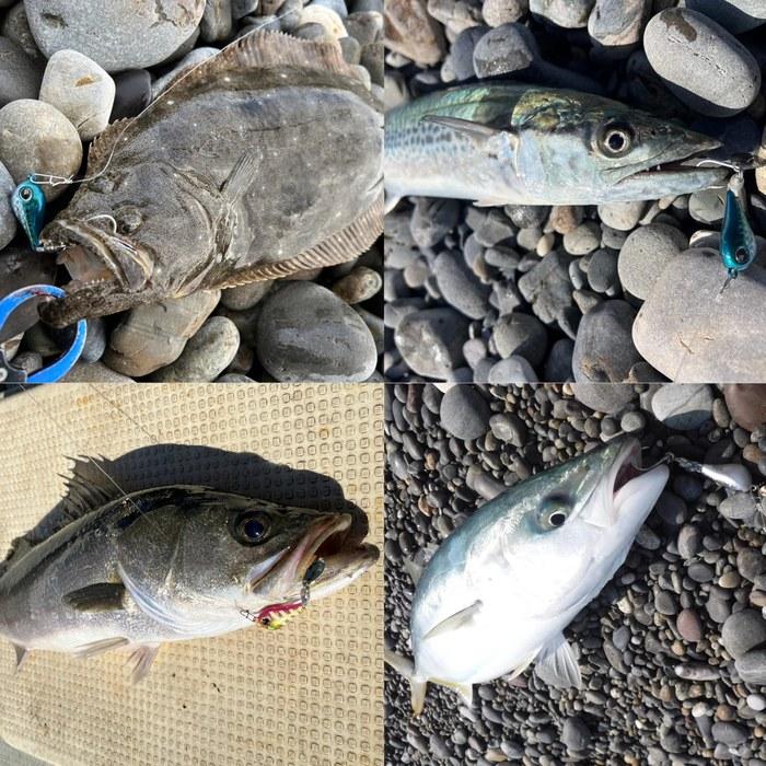 AbuGarcia Орешки Лезвие 30Г Светящийся Серебристый SSNTSBLD30G-GLWSR Пилькер-лезвие (30г)-Светящееся серебро