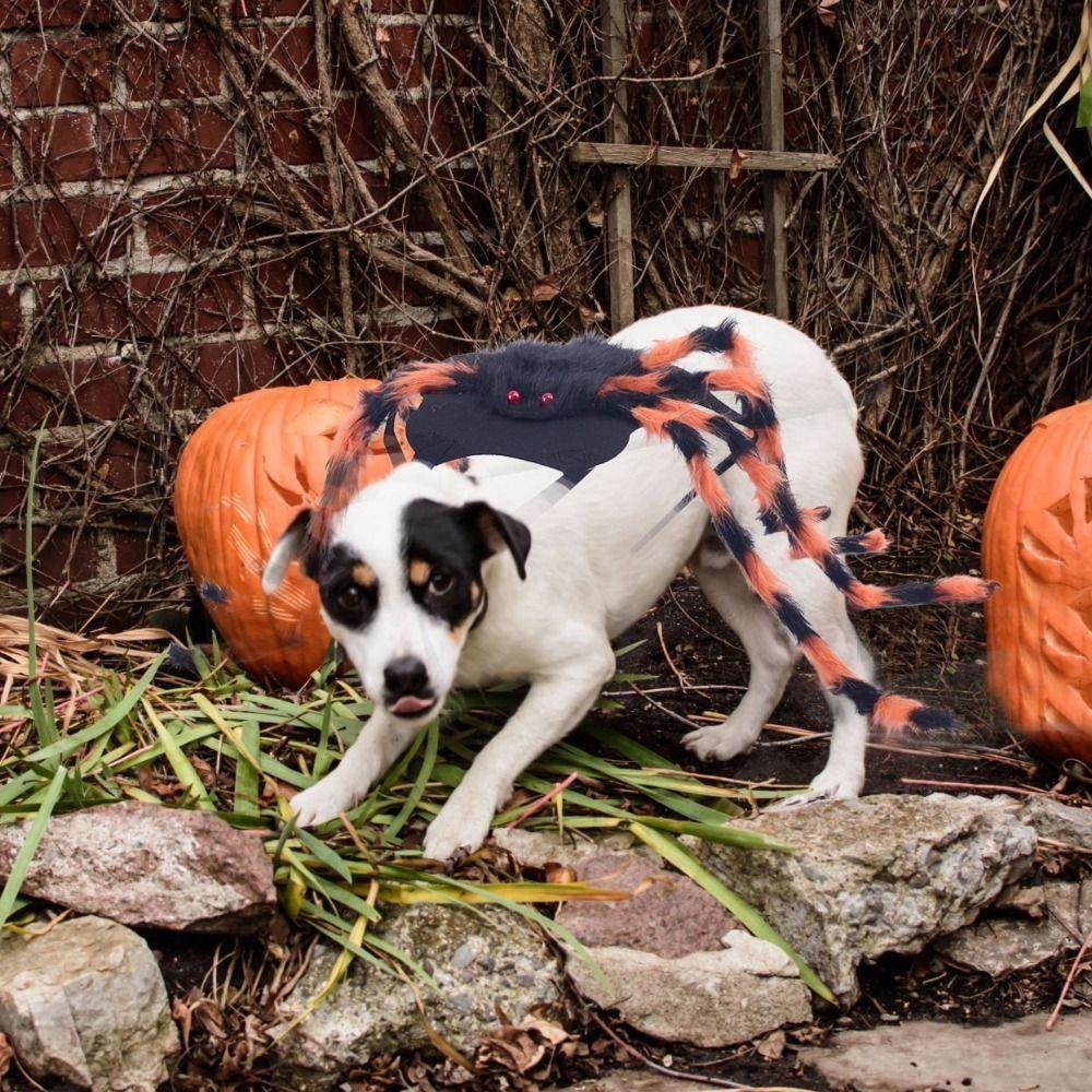 Creative Pet Spider Costume Furry Cat Cosplay Costume Funny Pet Spider Harness Photo Celebration