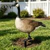Weather Resistant Yard Decor Realistic Acrylic Animal Stake, 2D Flat Chicken Goose Bird Garden Stake Decoration Bunny Sign for Pathway, Patio,