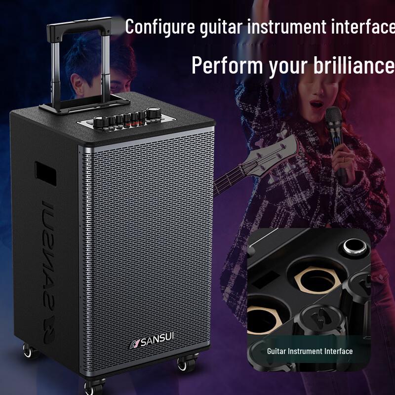 SANSUI E15 Outdoor Portable KTV Speaker with Dual Microphones CN plug (adapter included) (CN version)