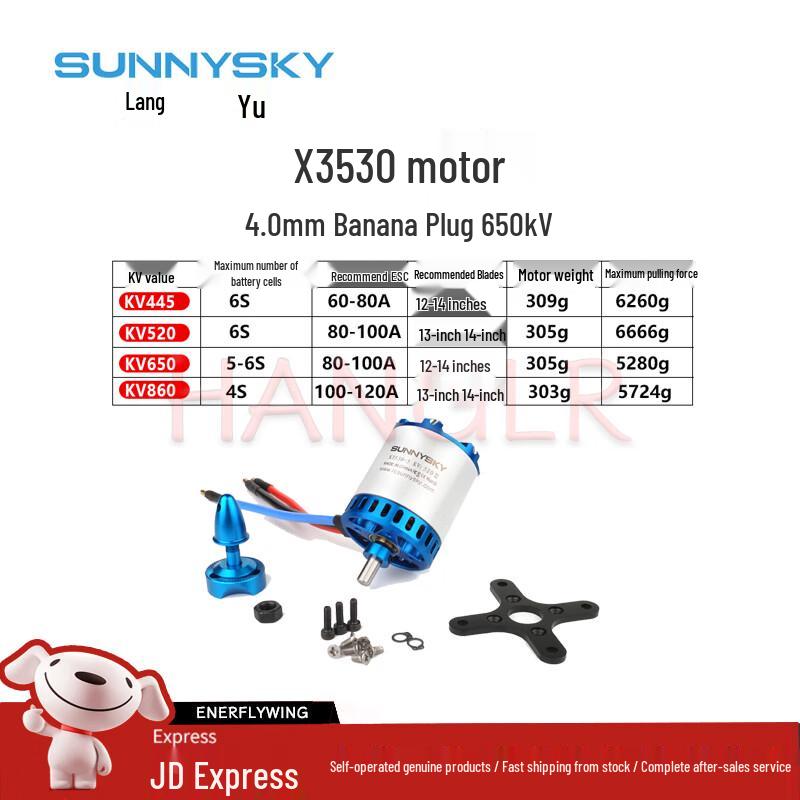 SUNNYSKY High-Performance Brushless RC Motors (CN version)