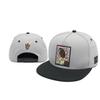 Foreign trade flat-brimmed hat, adjusting hat, car hat, trendy hat, American fashion hat, sun one piece, and wholesale