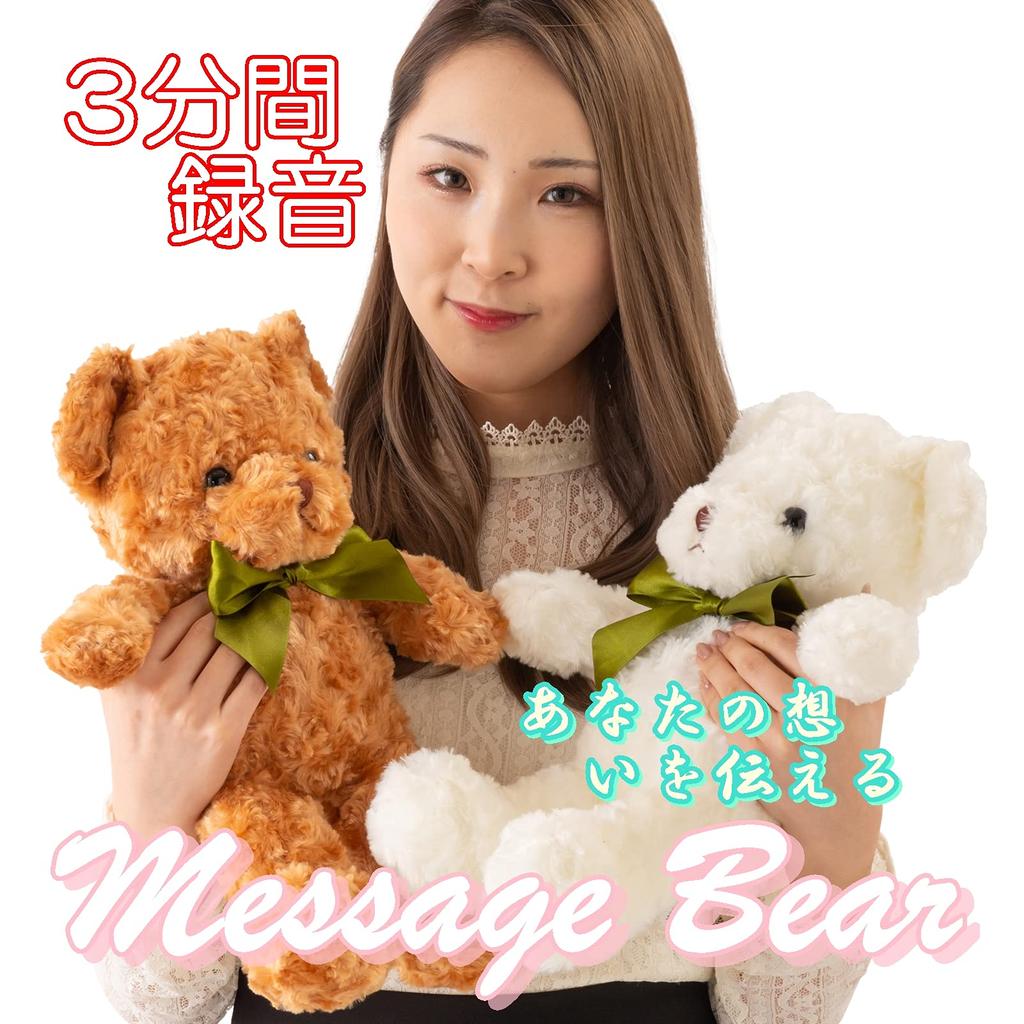 Active Island Teddy Bear 3 Minute Recording Stuffed Toy Gift Birthday Present Bear A578 (Brown)