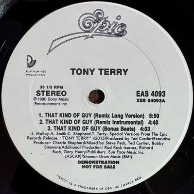 12-дюймовая пластинка TONY TERRY - That Kind Of Guy EAS4093 Epic 1990 UK Танцевальная и Электронная Б/У