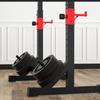 Integrated Squat Rack with Weight Bench