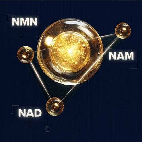 THE WHOO Ultimate Recovery NAD Power Ampoule 10ml