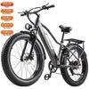 Electric Bicycle Burchad Rx20 750W Peak Motor 26" Fat Tire All Terrain Adult Electric Bike 48V 20Ah Dual Disc Brakes 7 Speed LCD Display