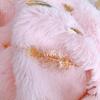 Home Pillowcase Two-sided Plush Hot Stamping Feathers Cushion Cover