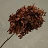 Phantom Flower: Single 20CM Preserved Hydrangea, Handmade Dried Bouquet for Decoration