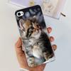 Чехол для iPhone 4 3,5" Милый Мультяшный Леопард Прозрачный Силиконовый Мягкий Чехол Для iPhone 4s iPhone4 Funda iPhone4s Ударопрочный Capa