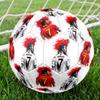 World Cup Victory Celebration Soccer Ball Size 5 Football Machine Sewn Indoor/Outdoor Universal Football perfect gift for sports enthusiasts