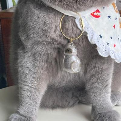 Бутылка для хранения кошачьей шерсти, прозрачный брелок для хранения меха домашних животных, для коллекционирования шерсти кошек, собак, домашних животных, памятный подарок