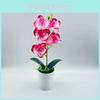 Aphrodite Phalaenopsis Artificial Potted Plant With Creative Design Bedroom For