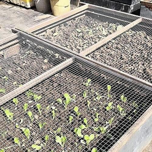 GrnArt Stainless Steel Residential Construction Mesh, Industrial Mesh, Stainless Steel Plain Mesh, Rodent-Proof Mesh, Garden Mesh, Cabinet Mesh, Door