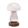 Grey Glass Mushroom with LED Lights - Large