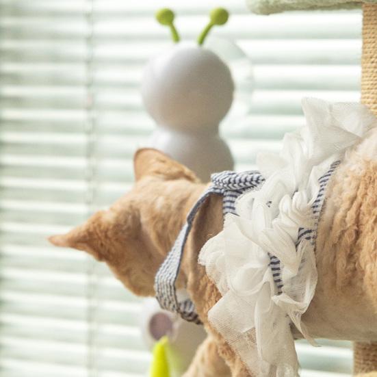 Игрушка-червяк Smart Motion для кошек, живущих в помещении. Интерактивная игрушка-вертушка для кошек с дизайном «Гусеница» для установки на стену, дверь, окно.