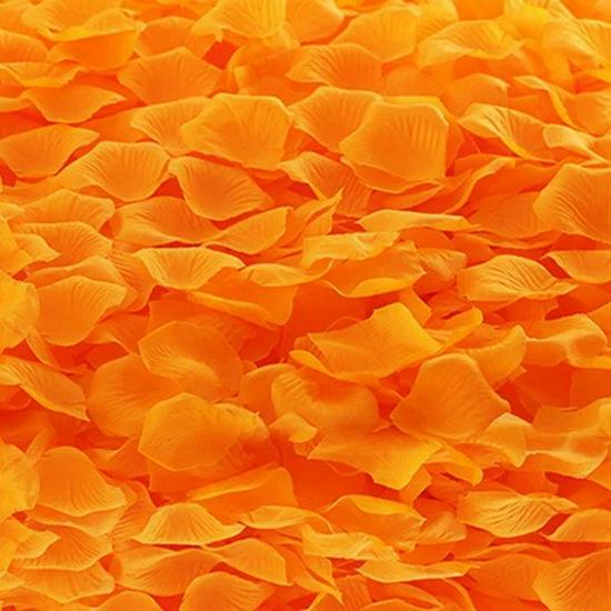 Rose Petal Decor for Wedding Ceremony, Proposal, and Bed Arrangement