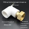 PPR Water Heater Union Pre-Filter Connector: 25 To 1 Inch, 4-6 Points, 32 Straight Elbow, Copper Water Pipe Fittings
