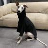 Black Dog Undershirt High-Neck Italian Greyhound Clothing Doberman Pinscher 2-leg Soft Clothing Dogs Winter Breathable Clothes