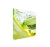 Glass Protective Plate for the Stove 50x52 Fruit