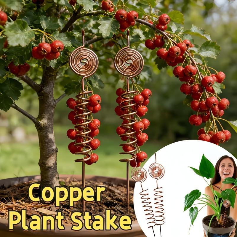 Artistic Copper Garden Stake: Spiral Ornament for Outdoor Decoration